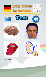 了解身體各部位在德國(圖3)-速報App