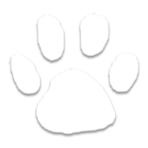 Googly Zoo.apk 2.0