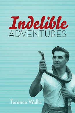 Indelible Adventures cover