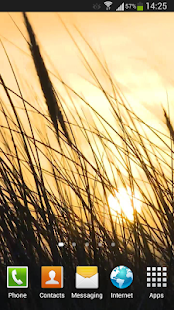 download Grass Live Wallpaper HD free