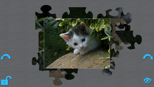 Cats Puzzle HD