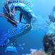 Sea Dragon Aqua