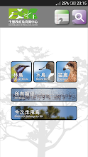 HK Birds APK Download for Android