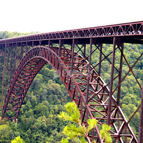 Natural Gorge Bridge by Leah Zisserson - Buildings & Architecture Bridges & Suspended Structures