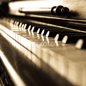 Tickled Ivory by E.g. Orren - Artistic Objects Musical Instruments