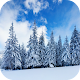 Winter Live Wallpaper APK