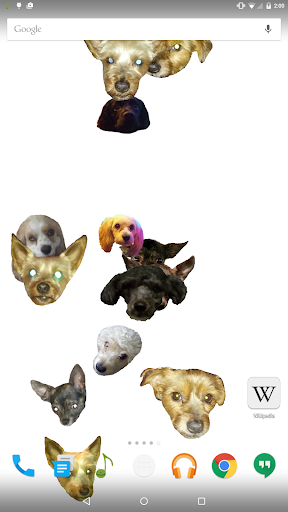 Heads Up Live Wallpaper Dogs