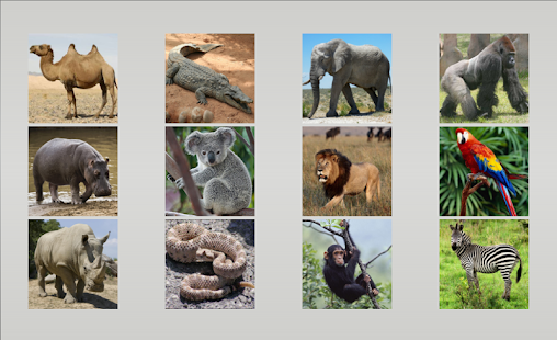 Animal sounds Screenshots 5