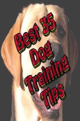 Best 35 Dog Training Tips