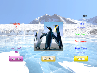How to download i'Slide Animals lastet apk for laptop