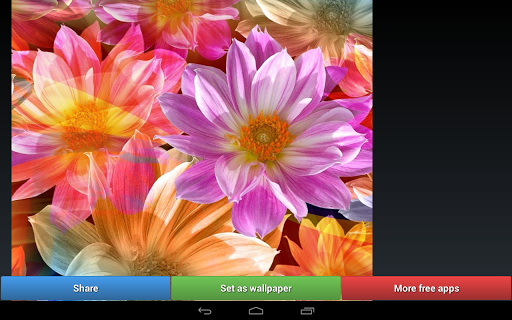 免費下載生活APP|Flowers HD Wallpapers app開箱文|APP開箱王