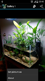 Aquarium Dekorating(圖2)-速報App