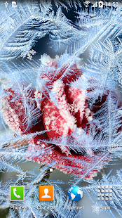 Winter Flowers Live Wallpaper(圖1)-速報App