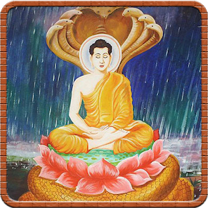 Vietnamese poem buddha's life.apk 1.0