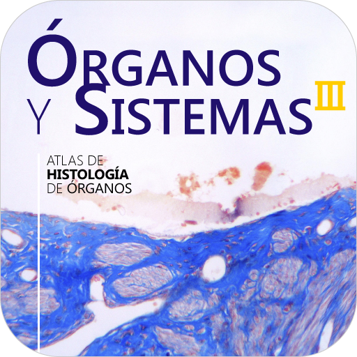 Atlas Interactivo Histología 4 書籍 App LOGO-APP開箱王