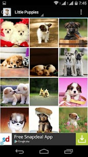 Cute Little Puppies Wallpapers Screenshots 19