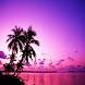 3D Beach 28