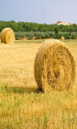 Z Italy landscapes wallpapers poster 3