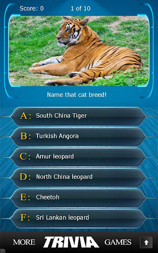 【免費益智App】Name that Cat Breed Trivia-APP點子