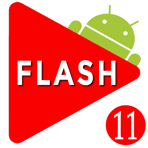 Flash Player ▶ Video Audio