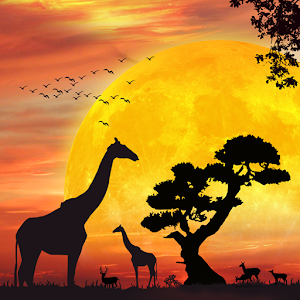 Safari Heat Slot logo
