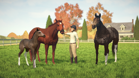 Rival Stars Horse Racing 5