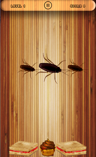 Cockroach Smasher Game