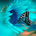 Blue Butterfly Live Wallpaper