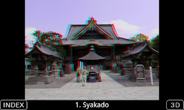 3D Photo Book [3D-NARITA]