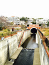 新湊川トンネル吐口