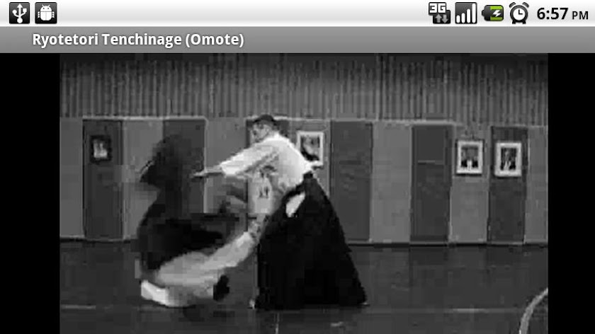 Aikido Second Kyu Donate Screen 3