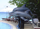 Dolphin Water Fountain