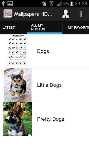 免費下載生活APP|Dogs Wallpapers app開箱文|APP開箱王