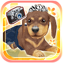 My Dog My Room mobile app icon