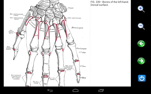 【免費醫療App】Visual Anatomy 2-APP點子