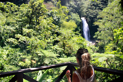 Looking out over Trafalgar Falls. A quick 10 minute walk gets you to the twin falls!