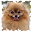 Puzzle Dogs Download on Windows