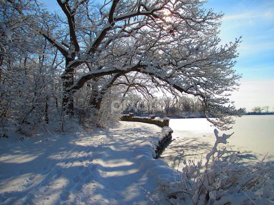 Road in winter, Old Greenwich, CT. by John Hayes - Landscapes Weather