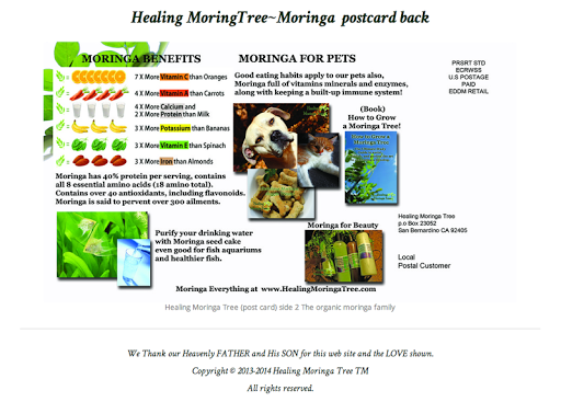 【免費健康App】Healing Moringa Tree LLC-APP點子