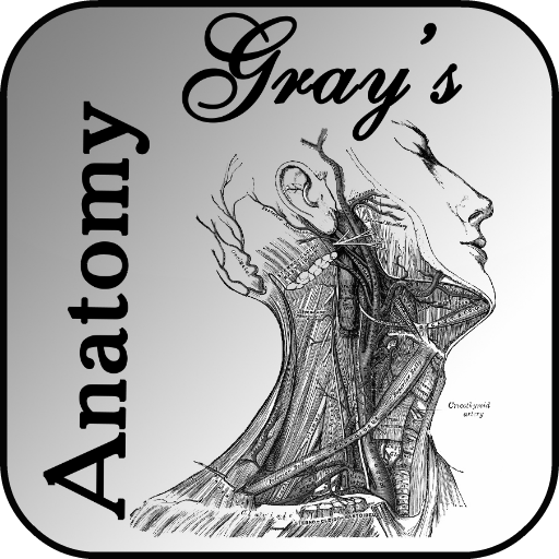 Gray's Anatomy 2012 Lite LOGO-APP點子