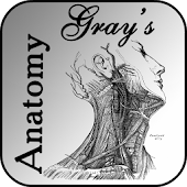 Gray's Anatomy 2012 Lite