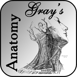 Gray's Anatomy 2012 Lite 2.6
