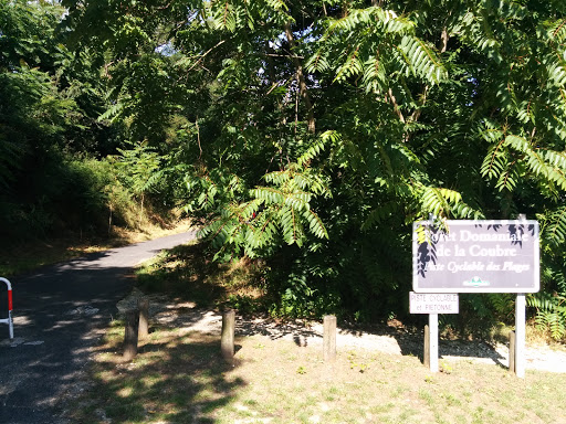 Ronce-les-Bains, Entrée De La Forêt Domaniale De La Coubre