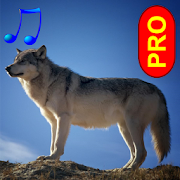 Animal sounds and photos PRO
