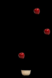 How to download Collect Apples 1.2 apk for bluestacks