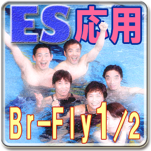 Swimming Self Lesson adv BrBu1 logo
