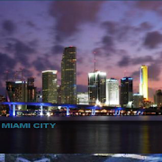 Miami City  Icon