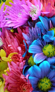 How to download Crazy Colors Live Wallpaper 1.0 mod apk for android