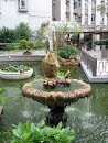青華苑鯉魚池鯉魚噴泉