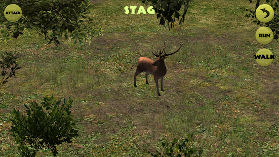 Lastest Animal Zoo Safari 3D Kids Game APK for Android